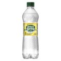 Nestle Waters Poland Spring Lemon Sparkling Spring Water 16.9 oz 75720-44605